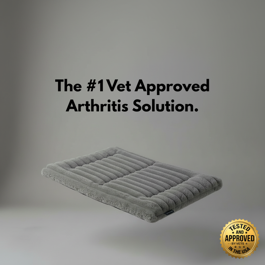 Enlume Self-Warming Pet Pad