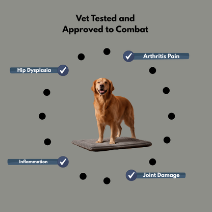 Enlume Self-Warming Pet Pad